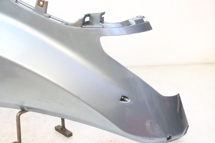 photo de REAR LEFT PANEL DAELIM HISTORY 125 (2001 - 2002)