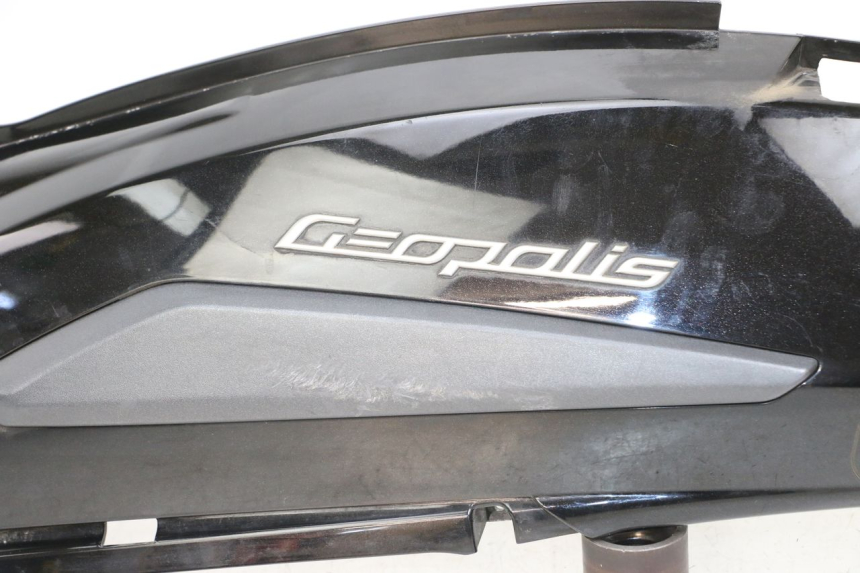 photo de REAR LEFT PANEL PEUGEOT GEOPOLIS RS 125 (2007 - 2009)