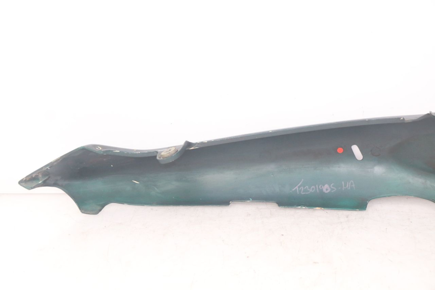 photo de LEFT REAR SIDE PANEL TRIUMPH SPRINT ST 955 (1999 - 2001)
