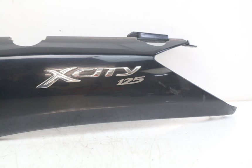 photo de REAR LEFT PANEL YAMAHA X-CITY XCITY 125 (2007 - 2008)