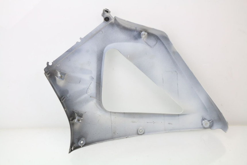 photo de RIGHT FRONT FAIRING HONDA CBR 929 RR FIREBLADE 900 (2000 - 2001)
