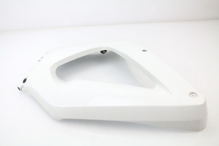 photo de RIGHT FRONT FAIRING HONDA CBR 929 RR FIREBLADE 900 (2000 - 2001)
