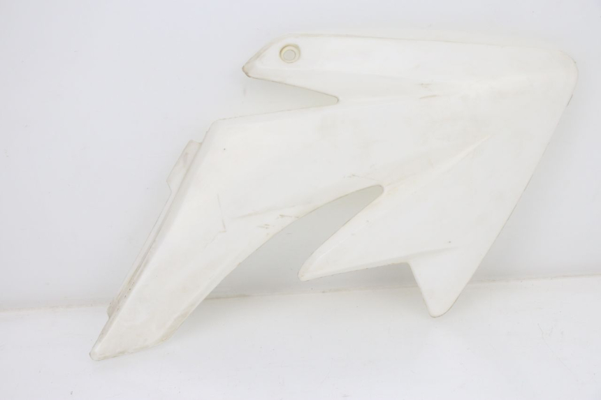 photo de RIGHT FRONT FAIRING NITRO MOTORS THUNDER 125