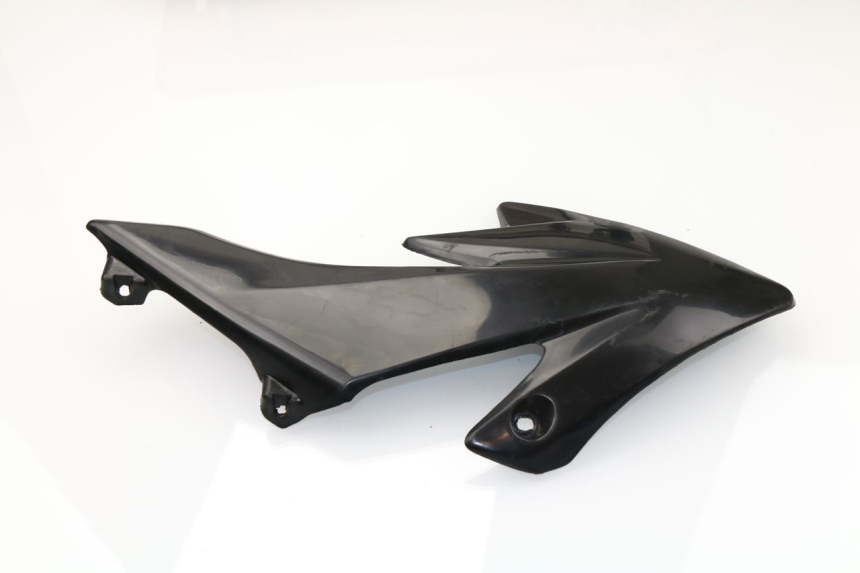 photo de LEFT FRONT FAIRING CRZ PIT BIKE 125 (2010 - 2018)