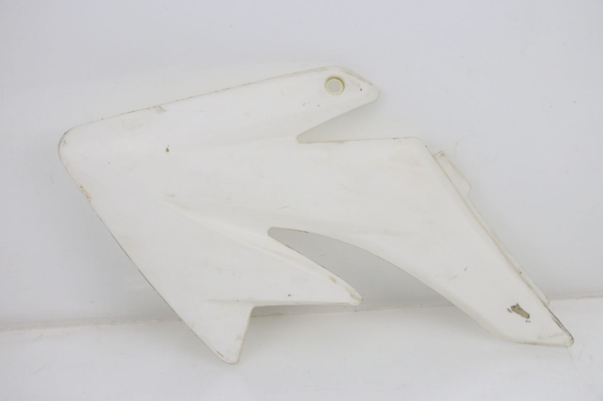 photo de LEFT FRONT FAIRING NITRO MOTORS THUNDER 125