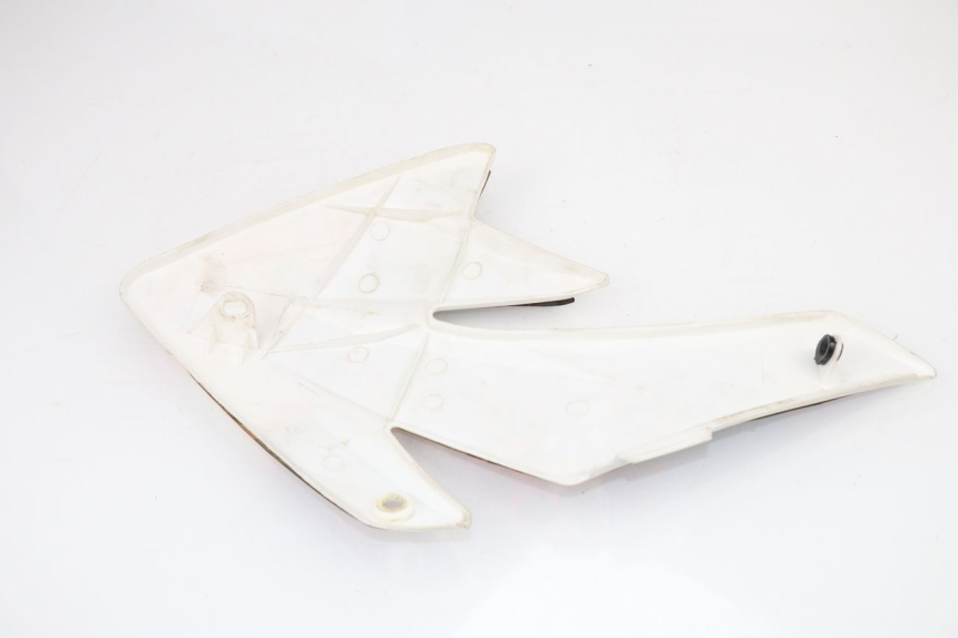 photo de LEFT FRONT FAIRING NITRO MOTORS THUNDER 125