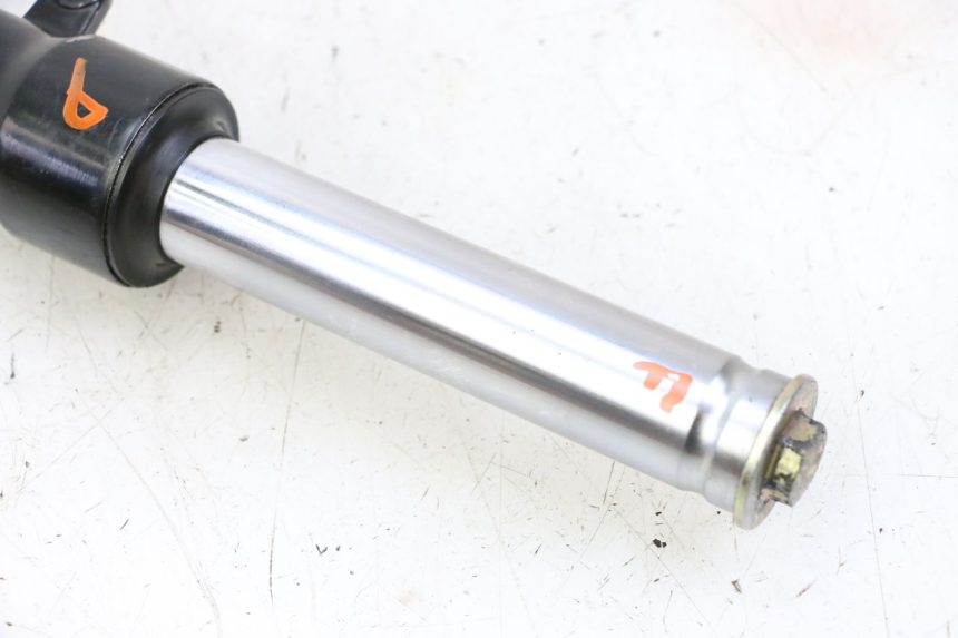 photo de RIGHT FORKS LEG ORCAL CAVARO 4T 50 (2019 - 2023)