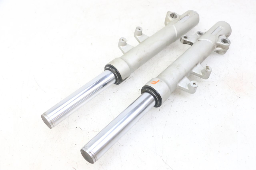 photo de FORKS LEG PEUGEOT ELYSEO 125 (1999 - 2004)