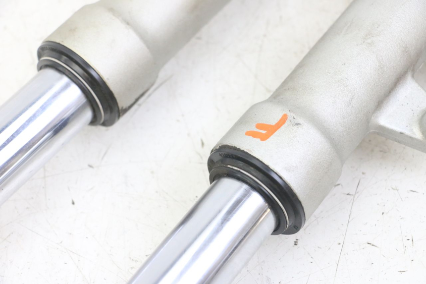 photo de FORKS LEG PEUGEOT ELYSEO 125 (1999 - 2004)