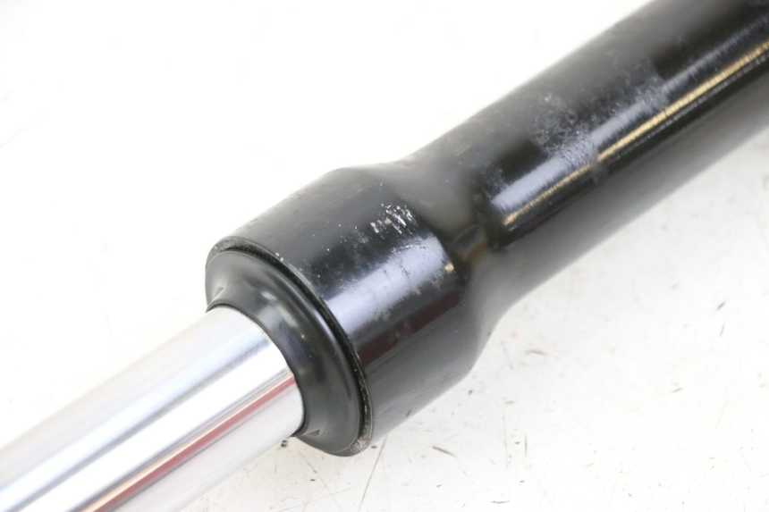 photo de LEFT FORKS LEG PEUGEOT TWEET 4T 50 (2023 - 2025)