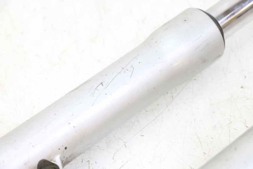 photo de FORKS LEG PIAGGIO LIBERTY 125 (1998 - 2008)