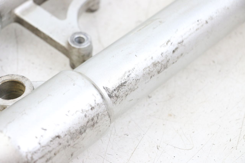 photo de FORKS LEG PEUGEOT GEOPOLIS RS 125 (2007 - 2009)