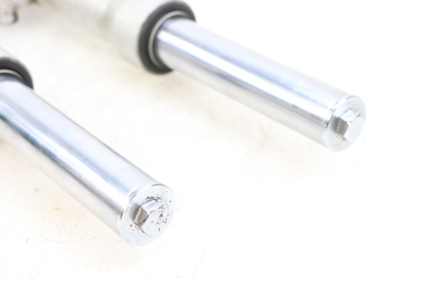 photo de FORKS LEG PEUGEOT GEOPOLIS RS 125 (2007 - 2009)