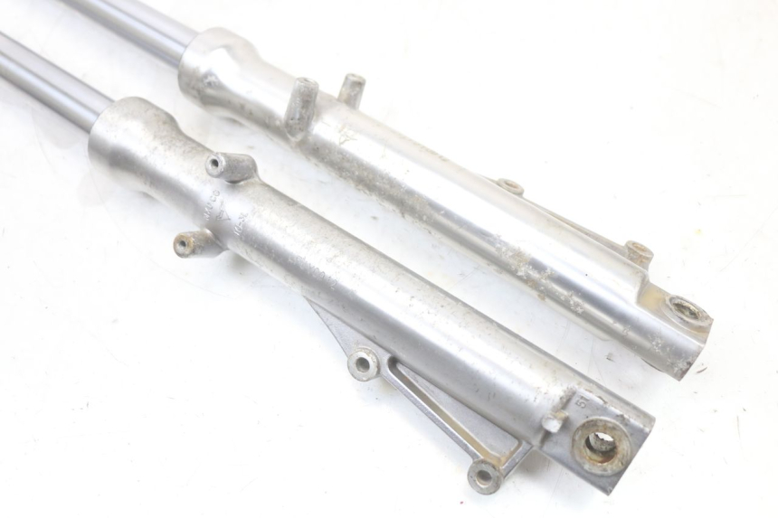 photo de FORKS LEG REGAL RAPTOR SPYDER 125 (2010 - 2018)