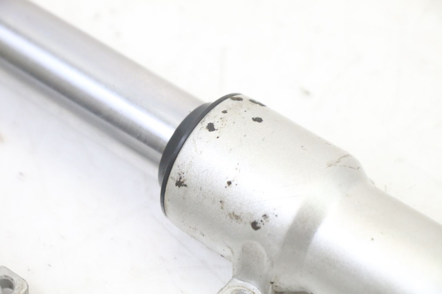 photo de FORK TUBE PEUGEOT VIVACITY NEW 2T 50 (2008 - 2017)