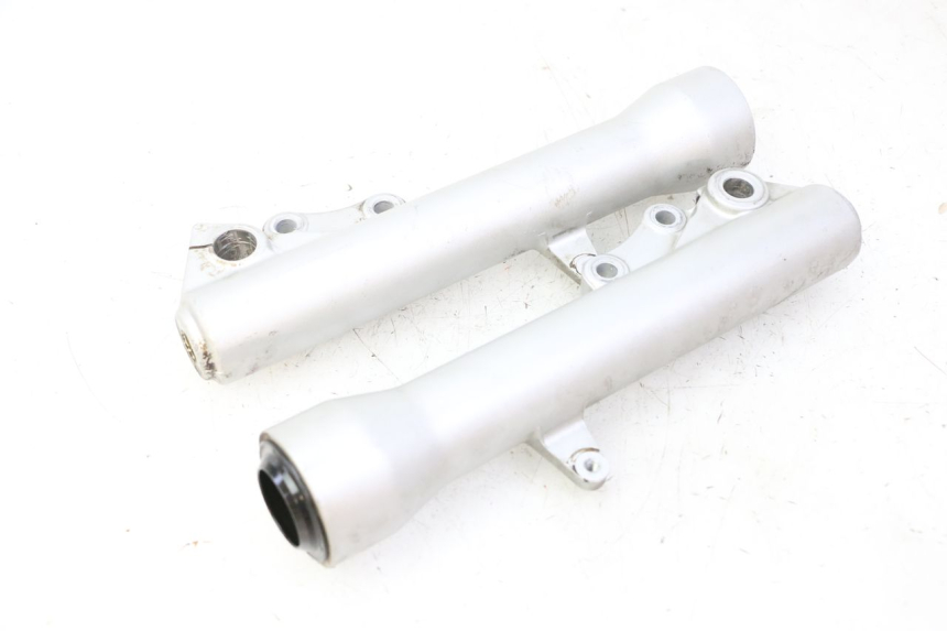 photo de FORKS LEG PIAGGIO X9 EVOLUTION 125 (2003 - 2007)