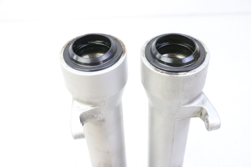 photo de FORKS LEG PIAGGIO X9 EVOLUTION 125 (2003 - 2007)