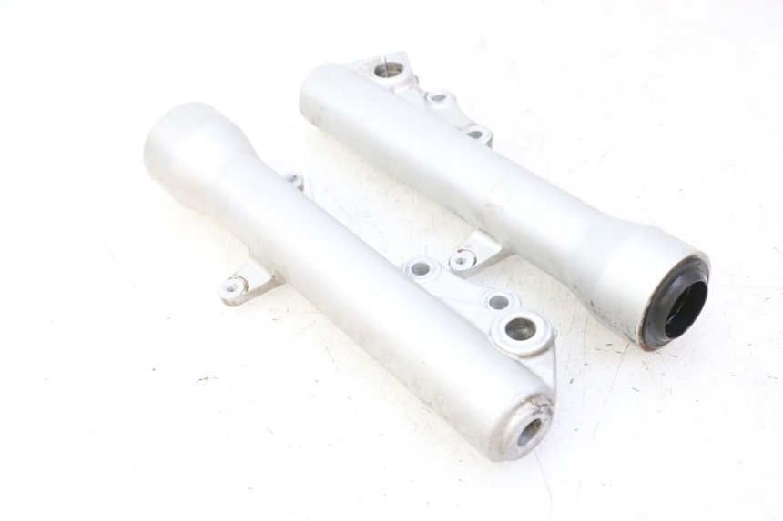 photo de FORKS LEG PIAGGIO X9 EVOLUTION 125 (2003 - 2007)