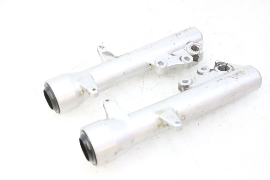 photo de FORKS LEG PIAGGIO X9 EVOLUTION 125 (2003 - 2007)