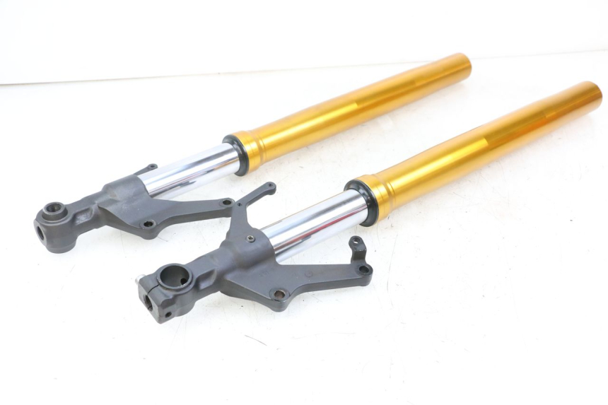 photo de FORKS LEG YAMAHA FZ1 FAZER 1000 (2007 - 2009)