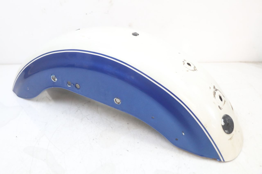 photo de REAR FENDER HARLEY DAVIDSON SPORTSTER XL CUSTOM 883 (1999 - 2006)