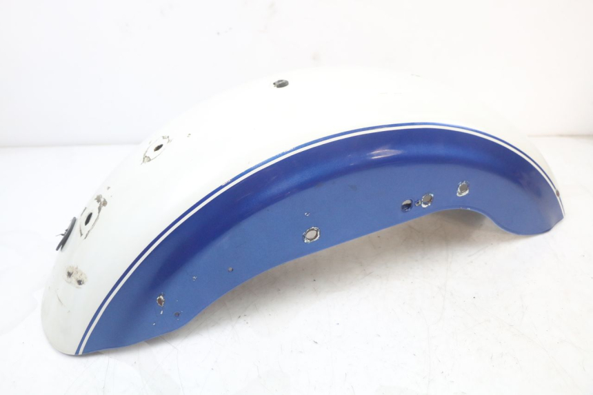 photo de REAR FENDER HARLEY DAVIDSON SPORTSTER XL CUSTOM 883 (1999 - 2006)