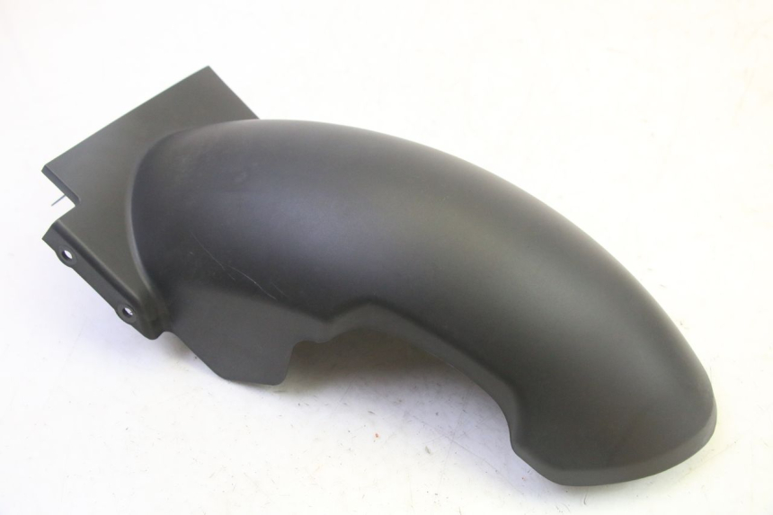 photo de REAR FENDER EFUN PUSA 1 - Main view