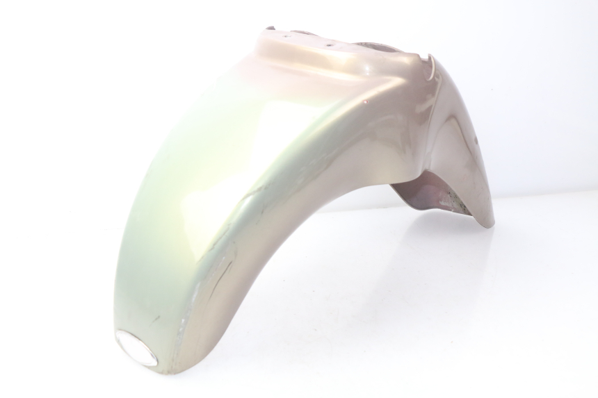 photo de FRONT FENDER APRILIA SCARABEO GT 125 (1999 - 2007)