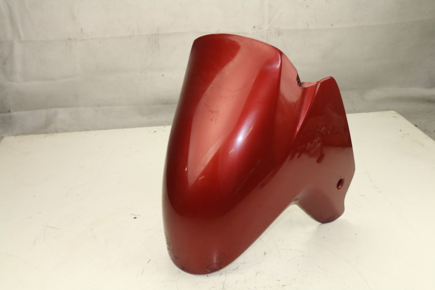 photo de FRONT FENDER BMW R RT ABS 1100 (1996 - 2001)
