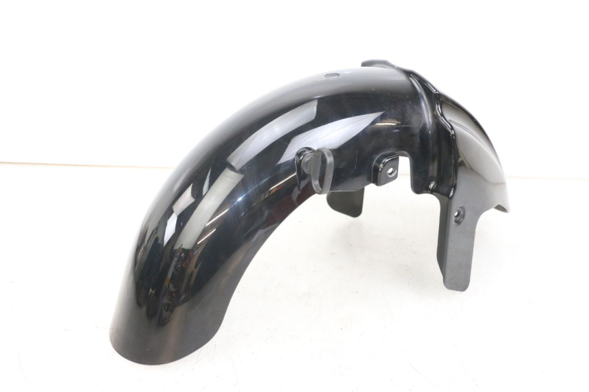 photo de FRONT FENDER DAELIM S3 125 (2010 - 2017)