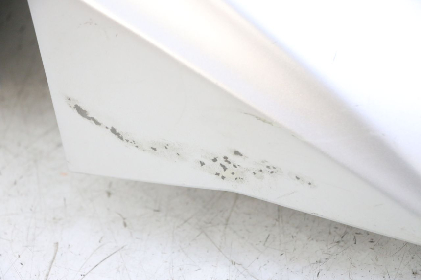 photo de FRONT FENDER PEUGEOT KISBEE 2T 50 (2018 - 2022)