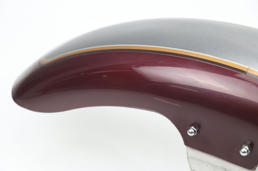 photo de FRONT FENDER LIFAN ROYAL KING 250 (2011 - 2019)