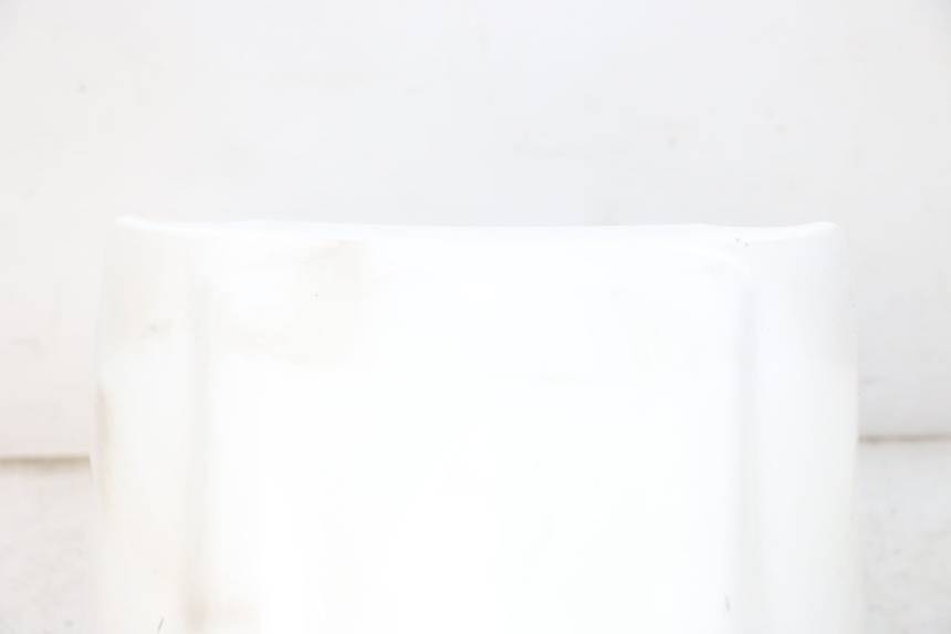 photo de FRONT FENDER PEUGEOT TWEET PRO EFI 4T 50 (2021 - 2022)