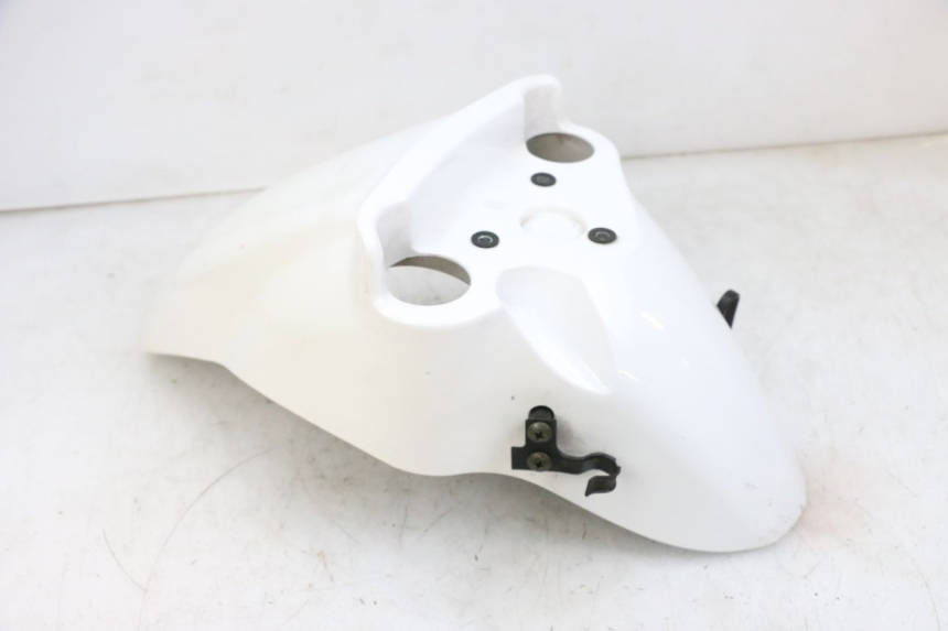 photo de FRONT FENDER PEUGEOT TWEET PRO EFI 4T 50 (2021 - 2022)