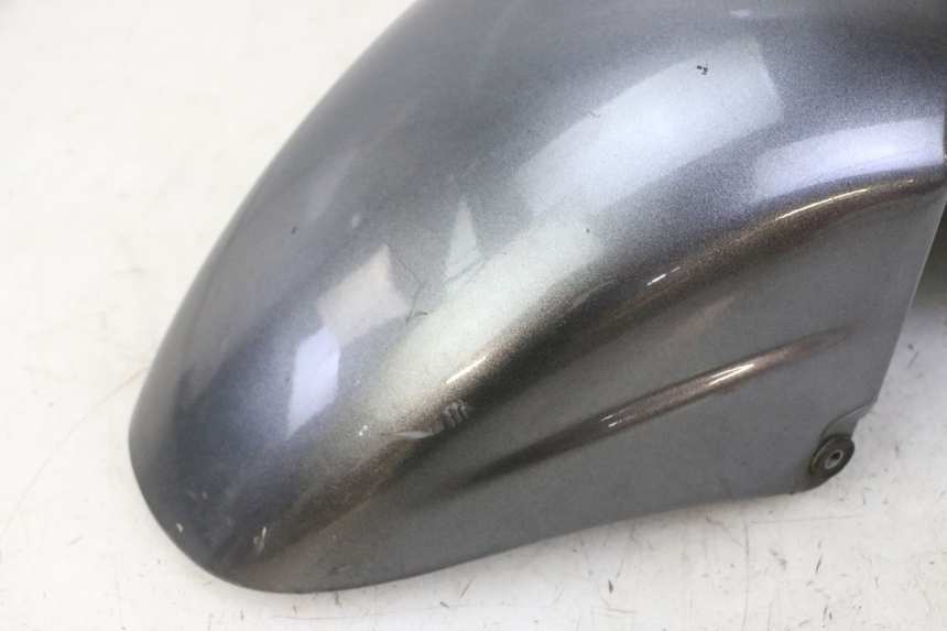 photo de FRONT MUDGUARD PIAGGIO X9 EVOLUTION 125 (2003 - 2007)