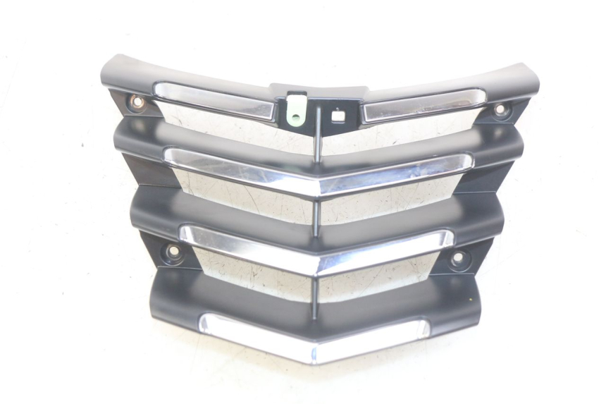 photo de RADIATOR GRILLE PEUGEOT CITYSTAR AIR 125 (2014 - 2017)