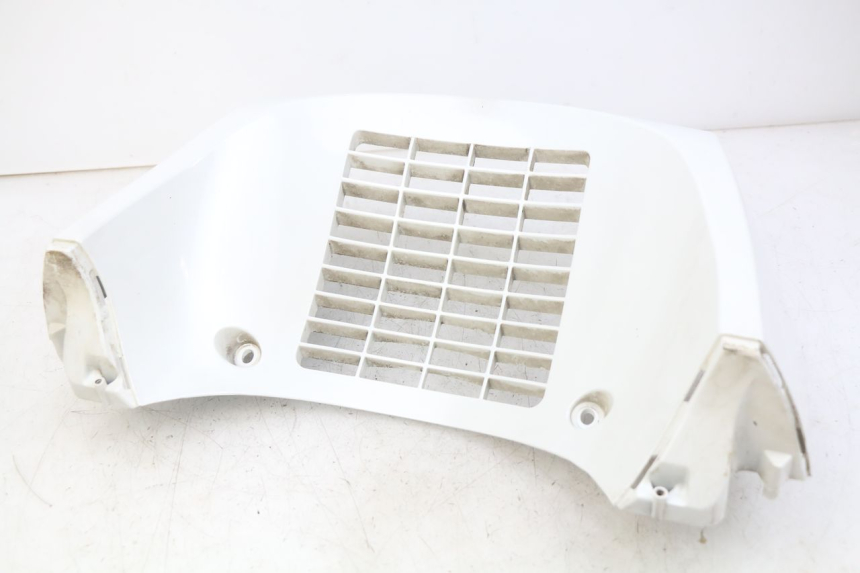 photo de RADIATOR GRILLE DAELIM S3 125 (2010 - 2017)