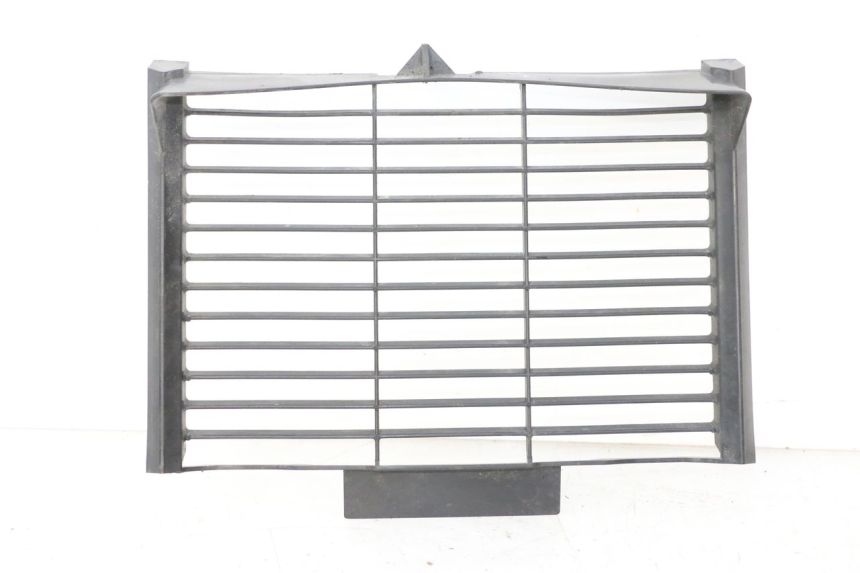 photo de RADIATOR COVER YAMAHA FZ6 FAZER S2 600 (2007 - 2011)