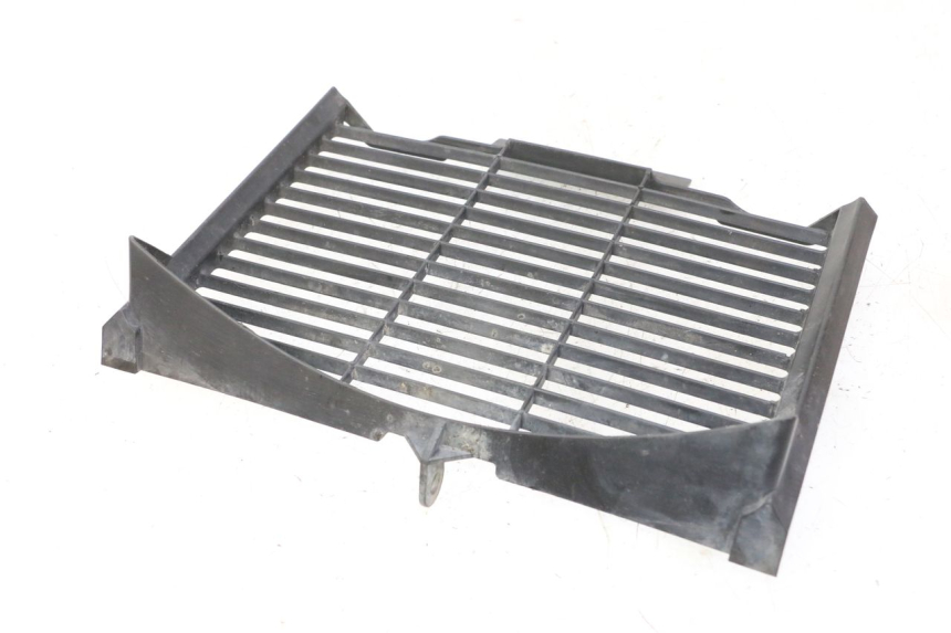 photo de RADIATOR COVER YAMAHA FZ6 FAZER S2 600 (2007 - 2011)