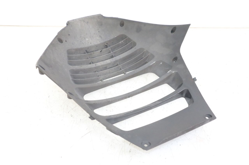 photo de RADIATOR COVER HONDA FJS SILVERWING SILVER WING 600 (2001 - 2010)