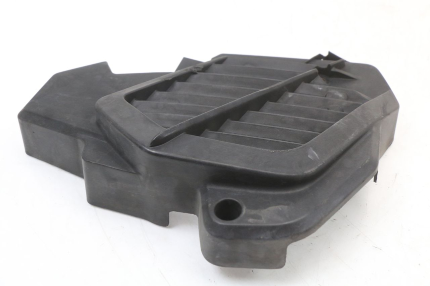 photo de RADIATOR COVER HONDA SH ABS 125 (2012 - 2017)
