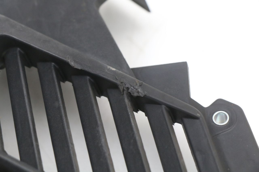 photo de RADIATOR COVER HONDA SH ABS 125 (2012 - 2017)