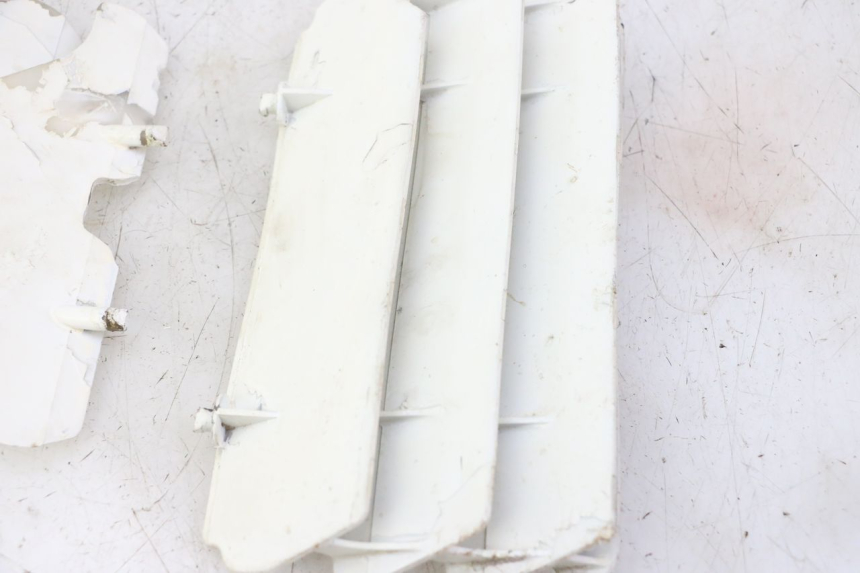 photo de RADIATOR COVER KAWASAKI KX 65 (2000 - 2019)