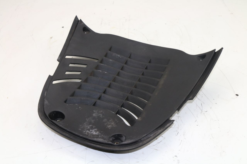 photo de RADIATOR COVER MBK SKYLINER 125 (2007 - 2013)