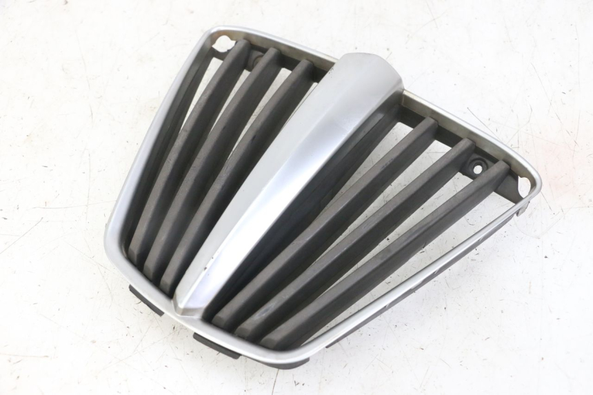 photo de RADIATOR GRILLE PIAGGIO MP3 LT 400 (2007 - 2012)