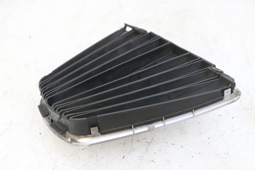 photo de RADIATOR GRILLE PIAGGIO MP3 LT 400 (2007 - 2012)