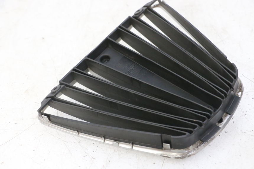 photo de RADIATOR GRILLE PIAGGIO MP3 LT 400 (2007 - 2012)