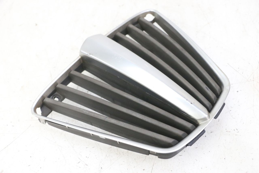 photo de RADIATOR GRILLE PIAGGIO MP3 LT 400 (2007 - 2012)