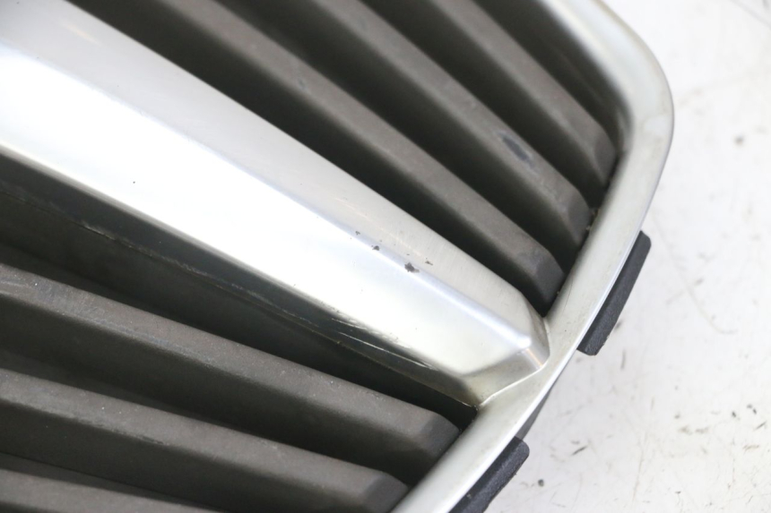 photo de RADIATOR GRILLE PIAGGIO MP3 LT 400 (2007 - 2012)