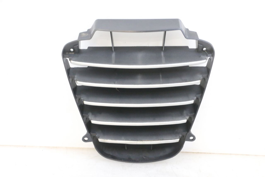 photo de RADIATOR GRILLE PIAGGIO MP3 LT 400 (2007 - 2012) - Component detail